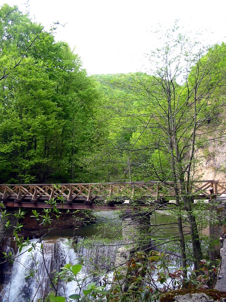 Property For Sale In Romania