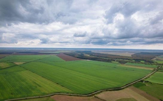 farm and land for sale in Romania