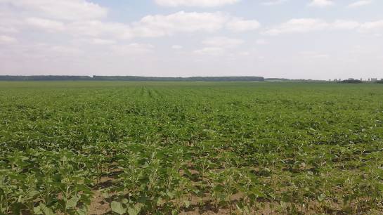 farmland for sale in Romania